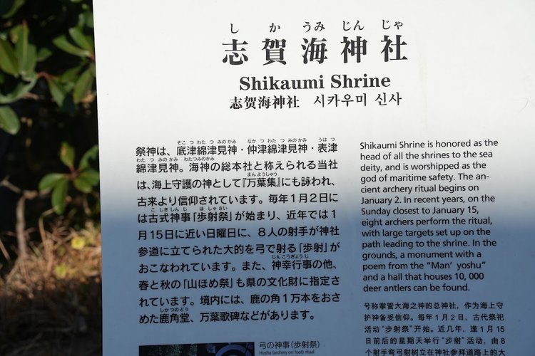 【福岡県】金印の島「志賀島」を巡る！志賀海神社と金印公園を訪ねる初心者サイクリング5.jpg