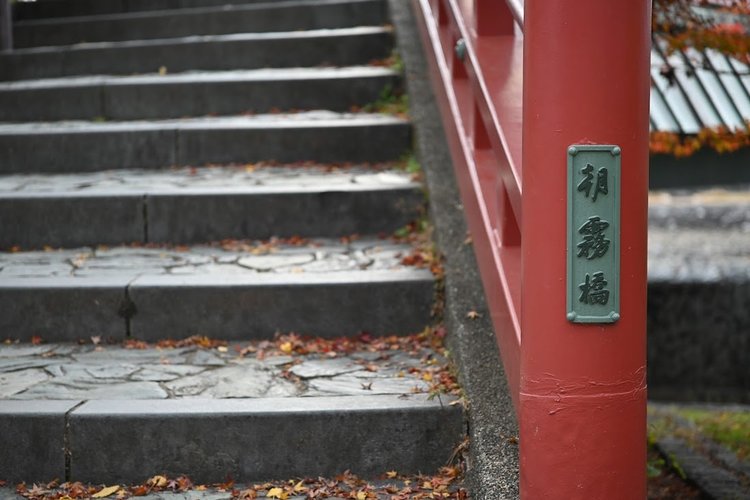 【京都府】宇治川沿いをのんびり走る初心者向けサイクリング～朝霧橋・喜撰橋・許波多神社へ3.jpg