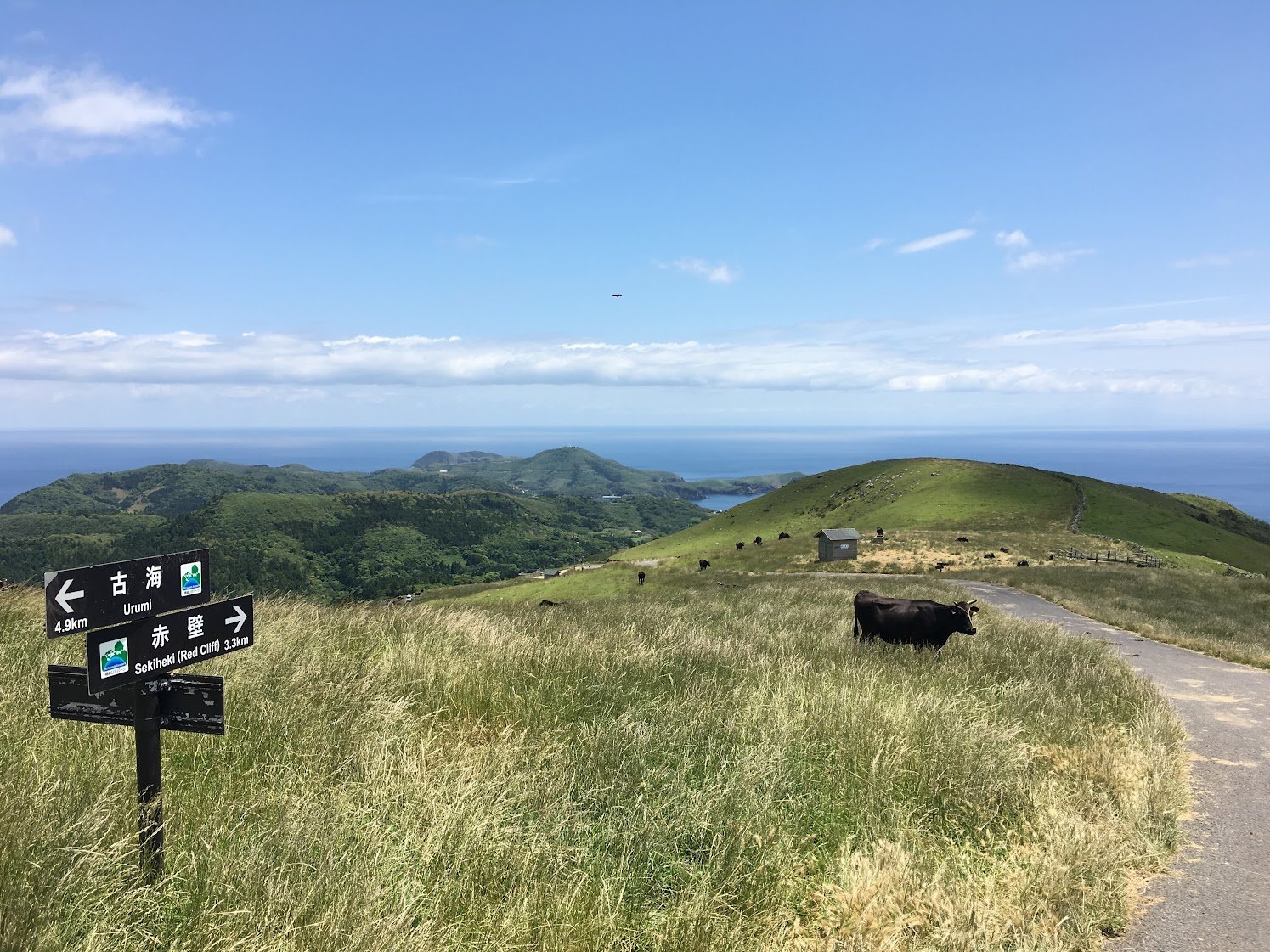 「ユネスコ世界ジオパーク」～信号ゼロの離島を巡る旅　知夫里島～