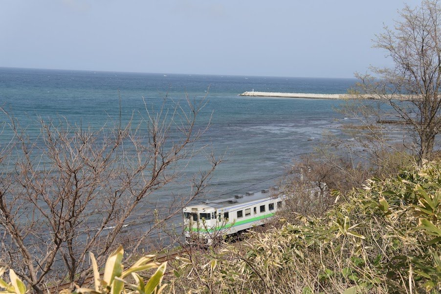 噴火湾の秘宝 長万部の毛ガニ堪能温泉旅