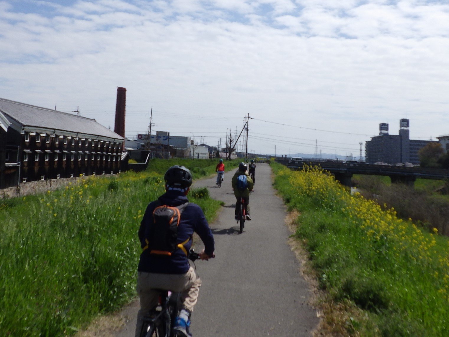 京都宇治 抹茶香る道 紅葉サイクリング