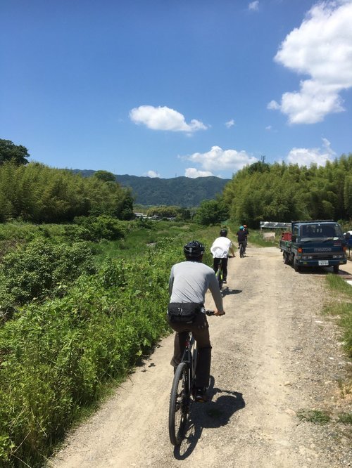 竹林の小道を走るアドベンチャーサイクリング