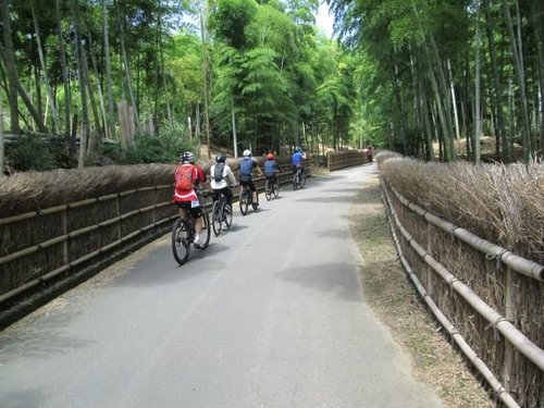 竹林の小道を走るアドベンチャーサイクリング