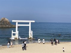 初めてでも安心 冬の糸島、魅力巡りサイクリング