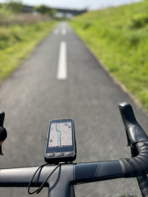 Wahoo ELEMNT ROAM.jpg