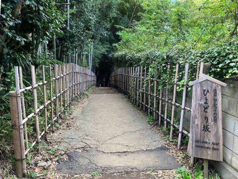 成田山新勝寺初詣サイクリング